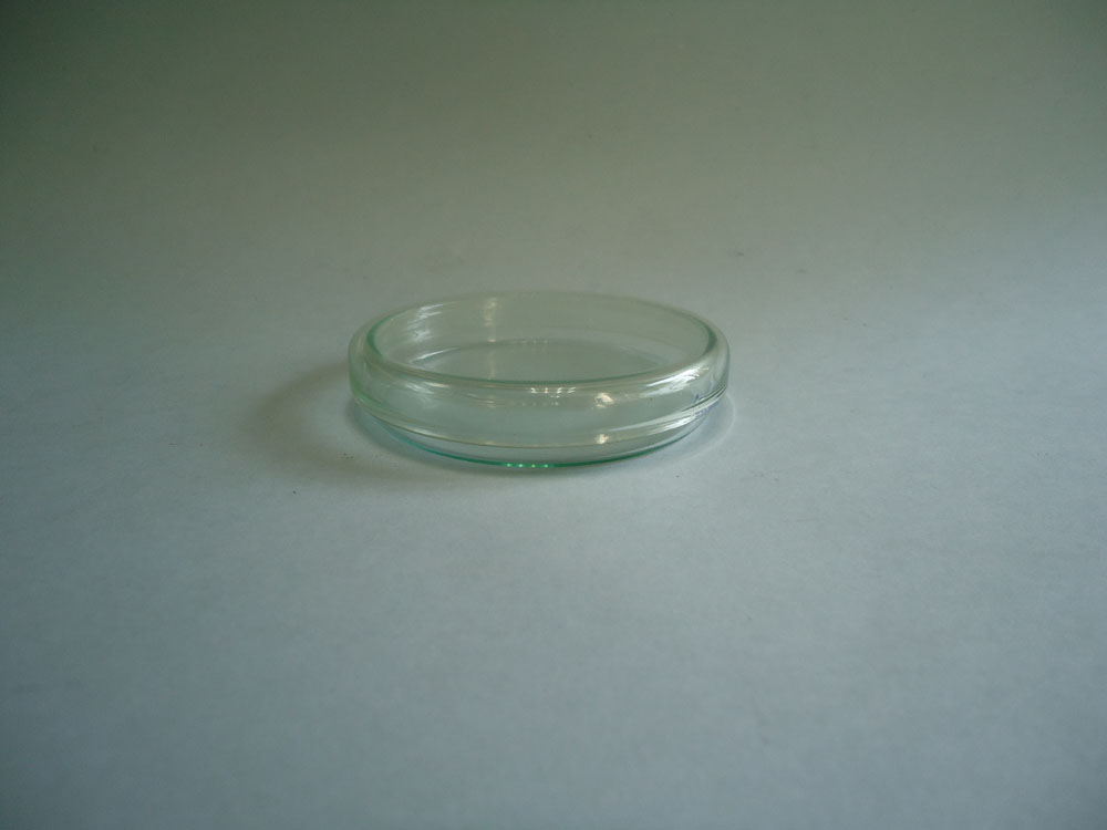 Caja Petri vidrio  8 cms.